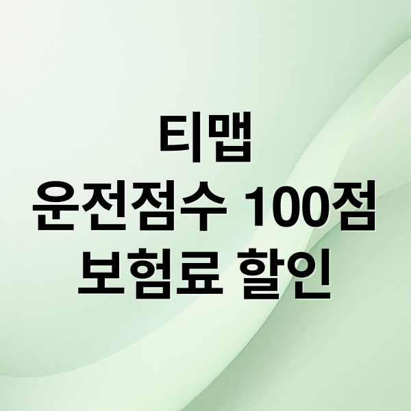 티맵 운전점수: 100점 달성 노하우! 보험료 할인 완벽 가이드 7
